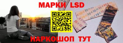ПСИЛОЦИБИНОВЫЕ ГРИБЫ Камышлов