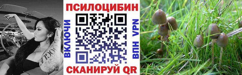 Галлюциногенные грибы ЛСД Луховицы