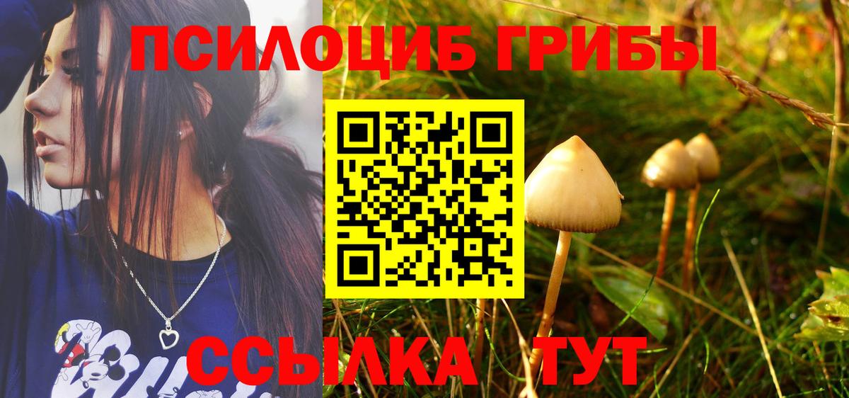 Псилоцибиновые грибы прущие грибы Луховицы