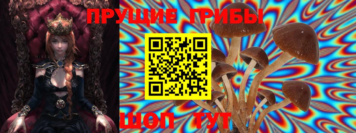 Луховицы  Псилоцибиновые грибы ЛСД  Вход с VPN 